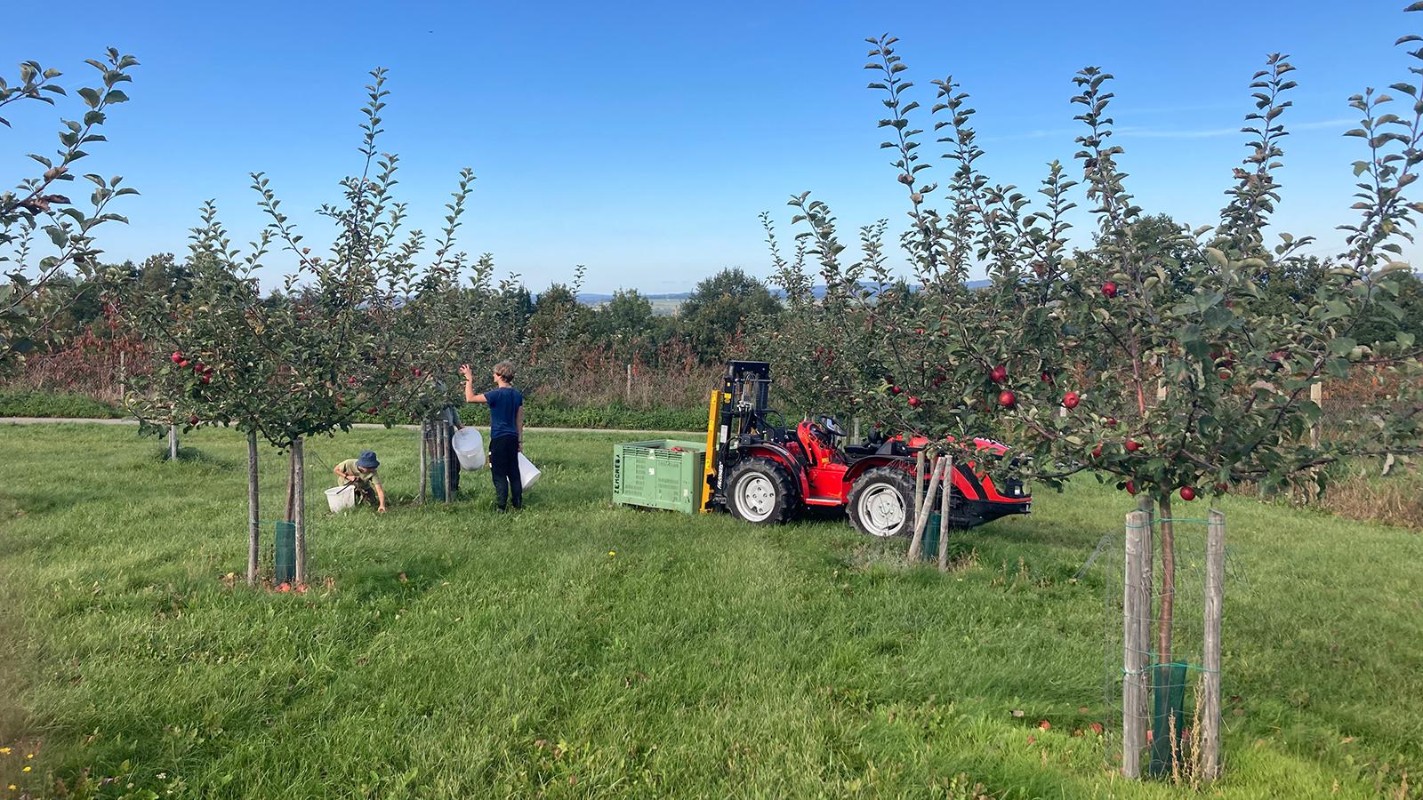 Cider Talk foto